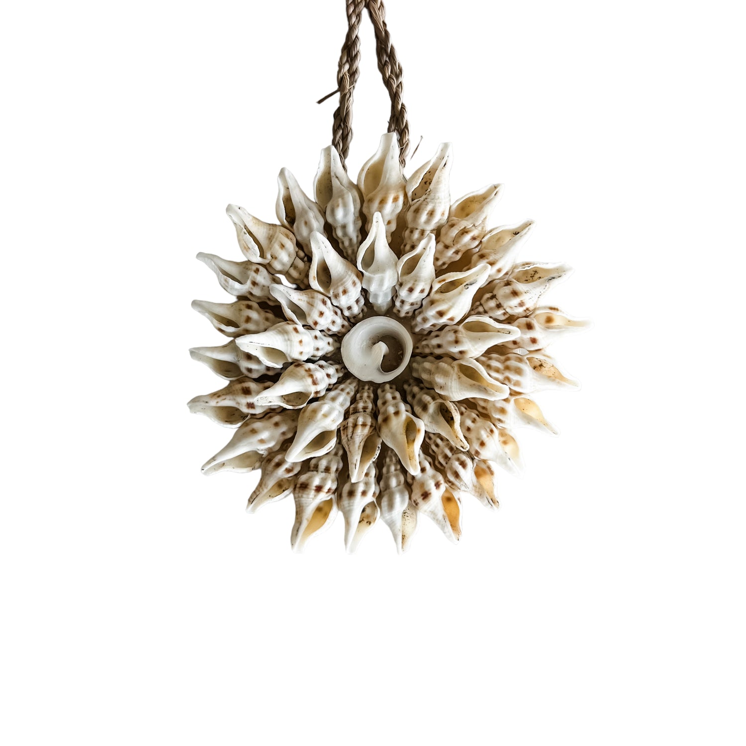 Shell Rope Decor Hanging Shell Ornaments on Seagrass Rope | 6 Assorted Styles