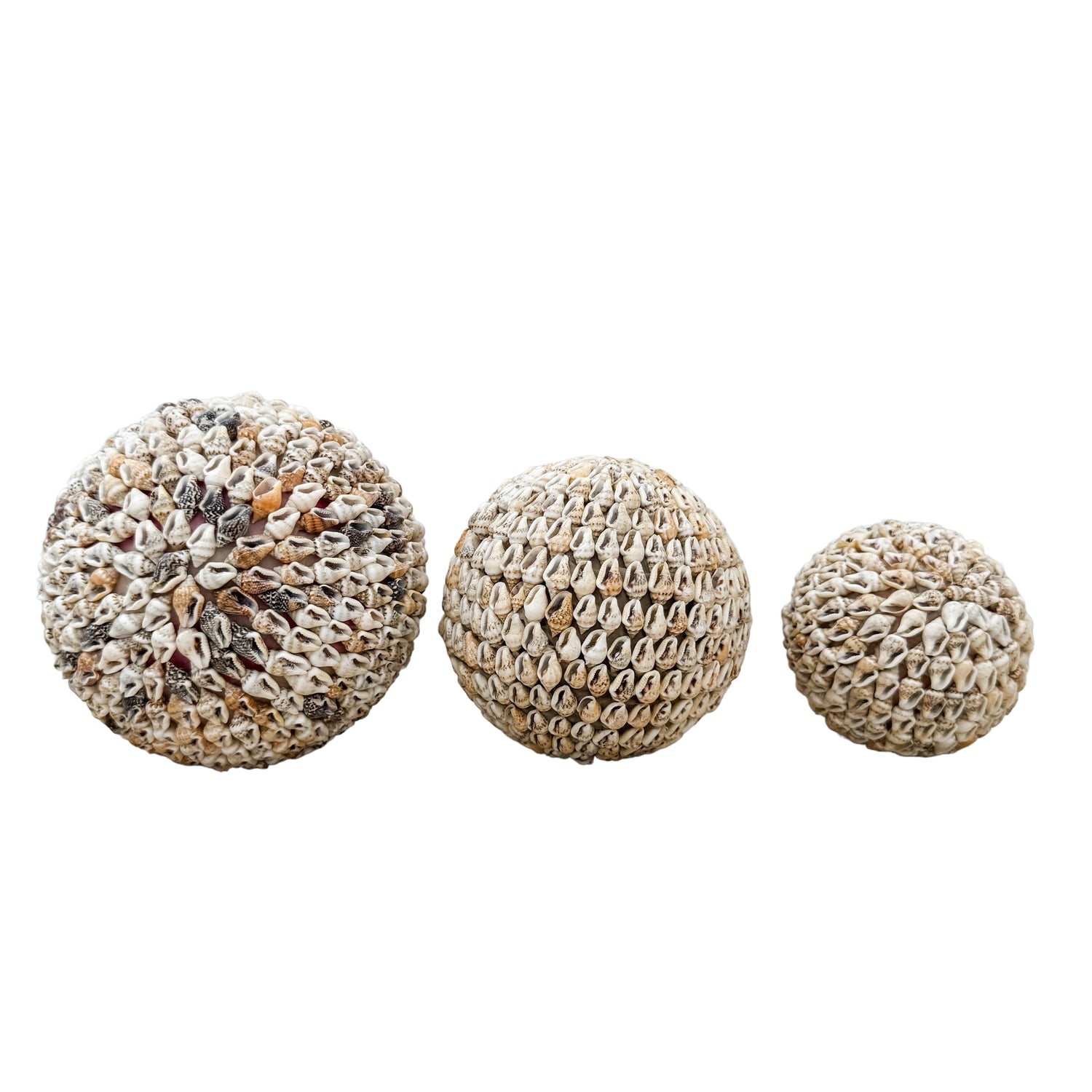 Mini Ball Shells Shell Ball | Natural | 3 sizes