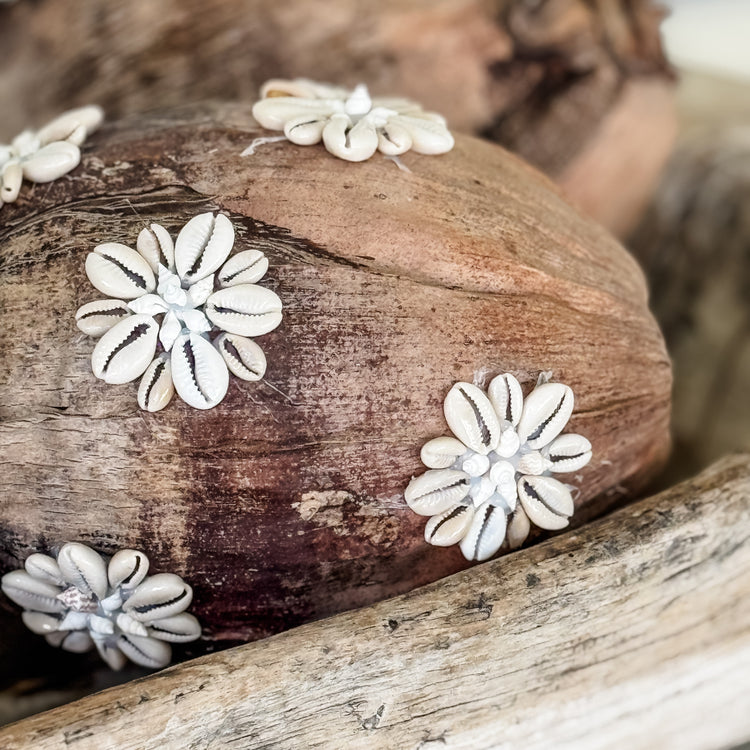 Shell-Kissed Decorative Coconuts