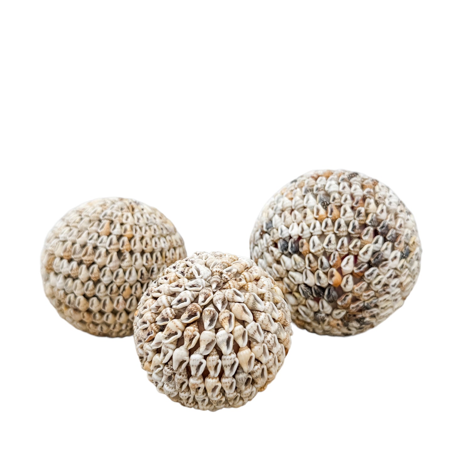 Hard Shell Ball Shell Ball | Natural | 3 sizes