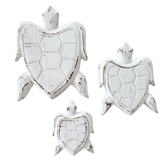 Turtle Bundle | White