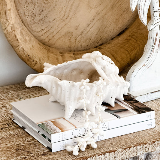 Barwon Ceramic Shell Scultpure | Large Preorder