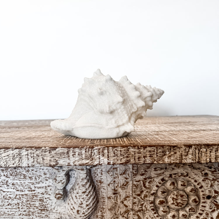 Resin Conch Shell Lamp