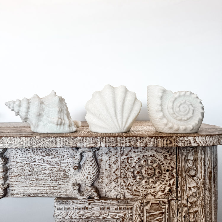 Resin Conch Shell Lamp