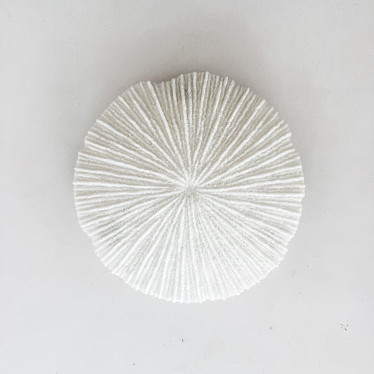 White Coral Disc Wall Hanging | Small
