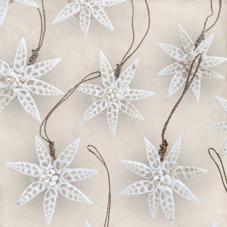 White Star Shell Hanging