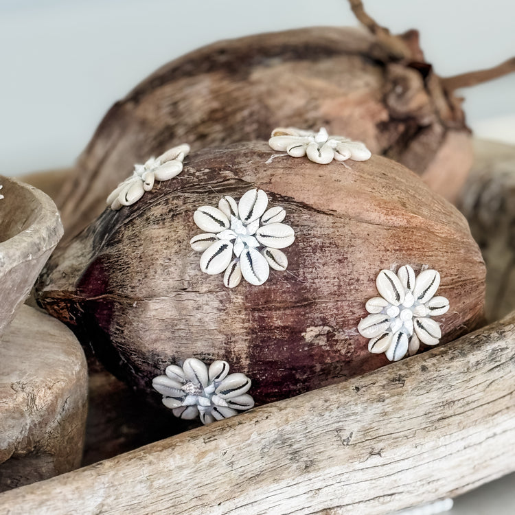 Shell-Kissed Decorative Coconuts