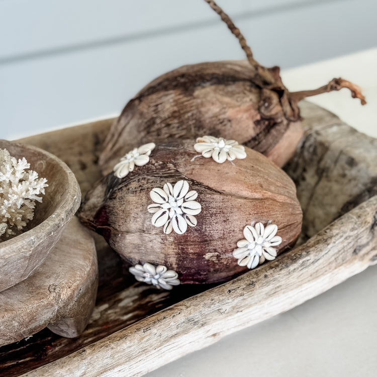 Shell-Kissed Decorative Coconuts