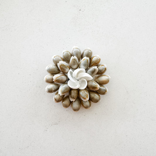 Natural Cowrie Cluster Shell Magnet