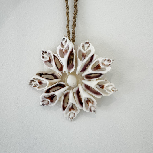 Coastal Shell Snowflake – Natural