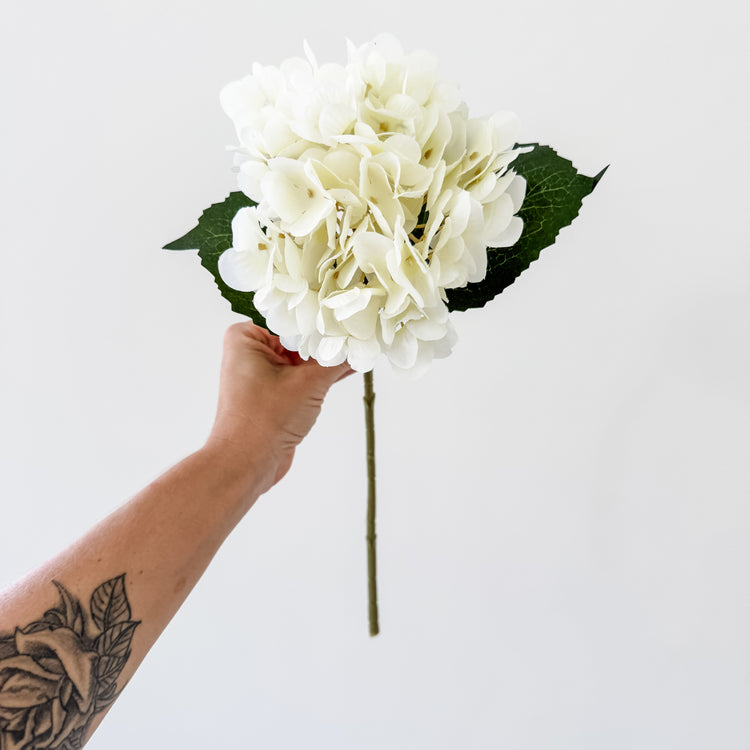 French Cream Hydrangea Stem – 47cm