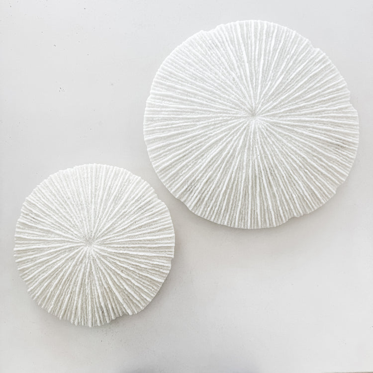White Coral Disc Wall Hanging | Large