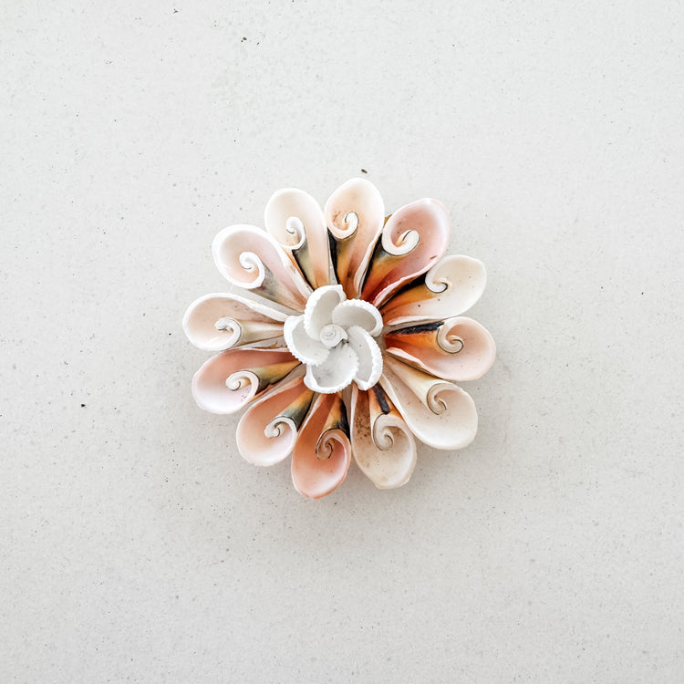 Sunset Spiral Shell Bloom Magnet