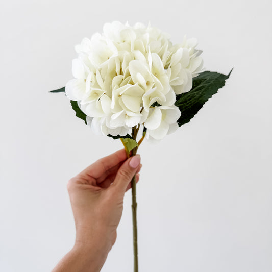 French Cream Hydrangea Stem – 47cm