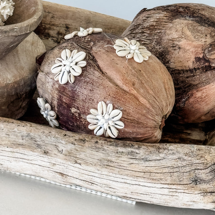 Shell-Kissed Decorative Coconuts