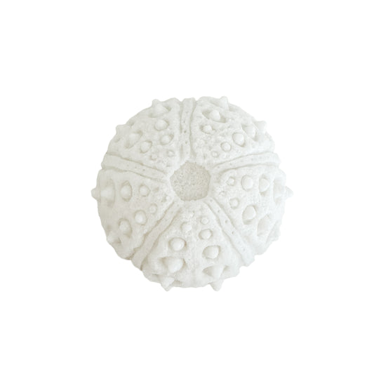 Urchin Mini Outdoor Light C