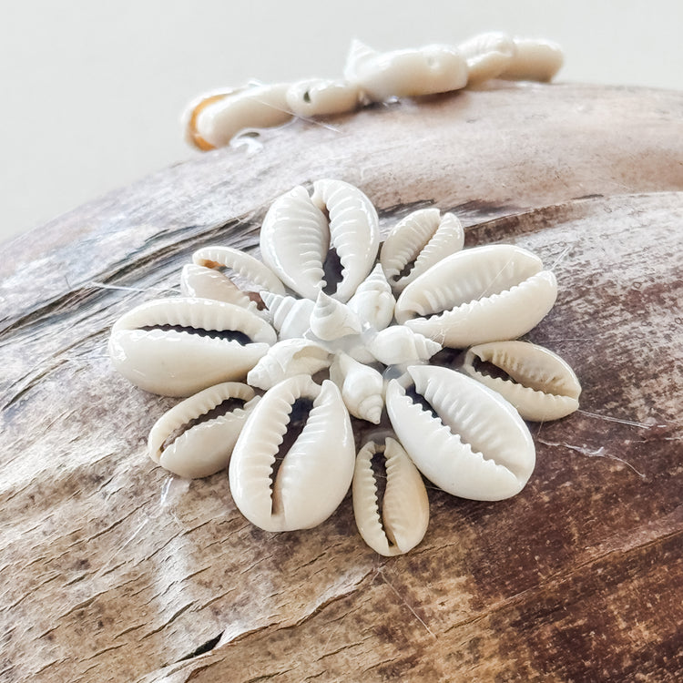 Shell-Kissed Decorative Coconuts