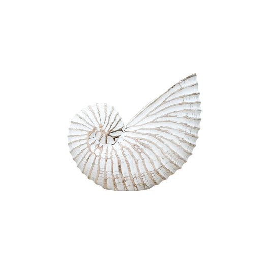 Wooden Nautilus Shell | White | 3 Sizes Available