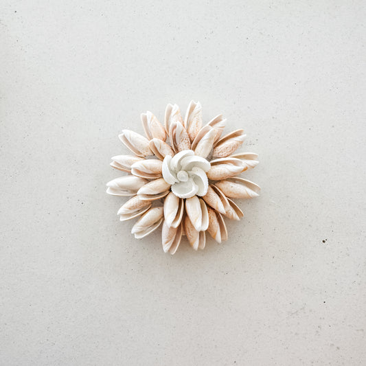 Soft Blush Petal Shell Magnet