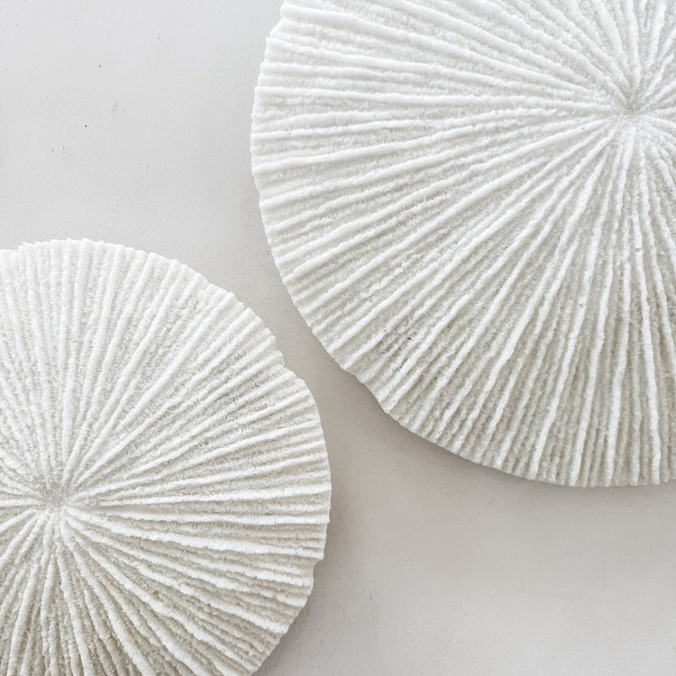 White Coral Disc Wall Hanging | Large