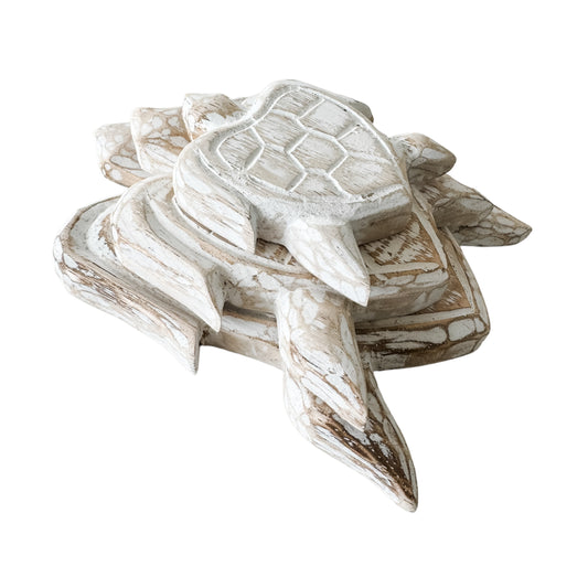 Turtle Bundle | Natural