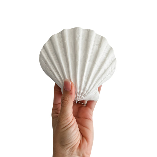 Sea Fan Resin Shell