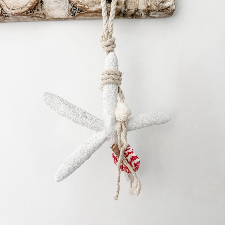 Dina Resin Starfish Hanging