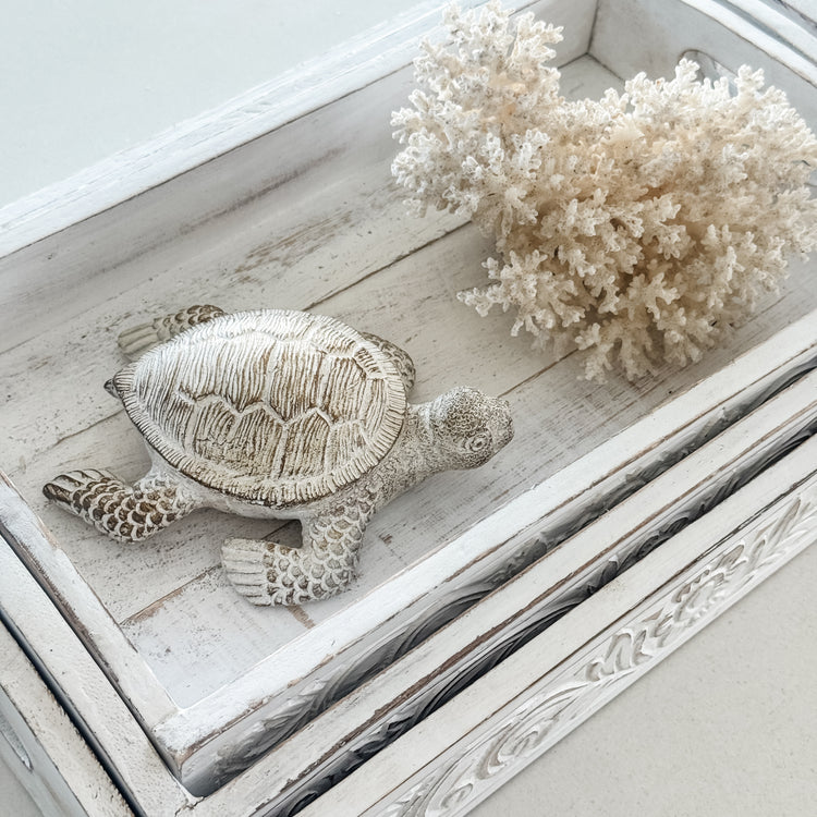 Terry Turtle Resin Ornament