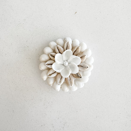 Ivory Cowrie Bloom Shell Magnet