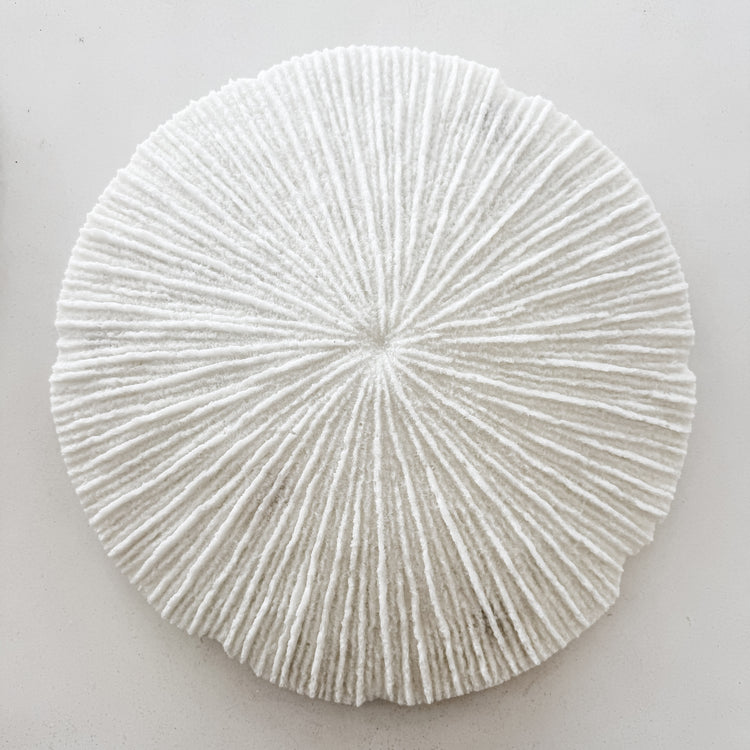 White Coral Disc Wall Hanging | Large
