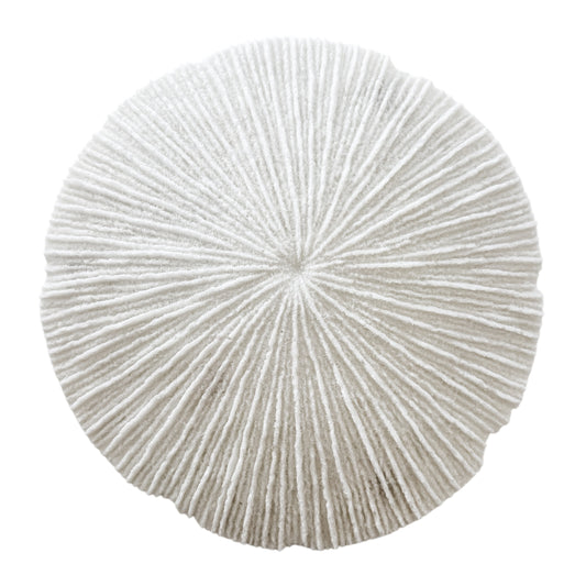 White Coral Disc Wall Hanging | Large