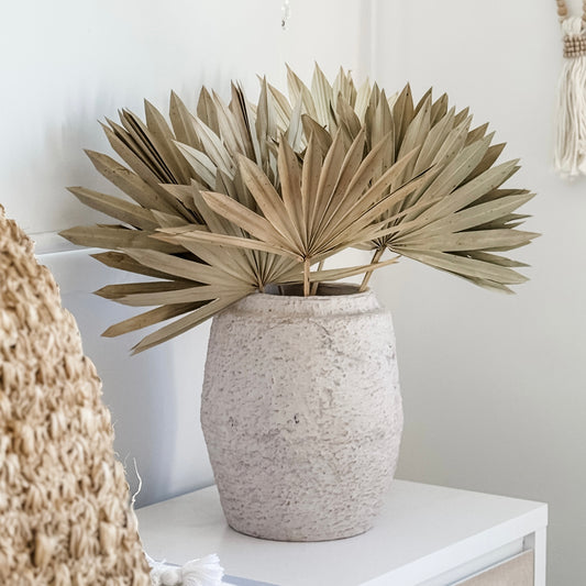 Sun Spear Palm | Dried | Natural | Set of 4
