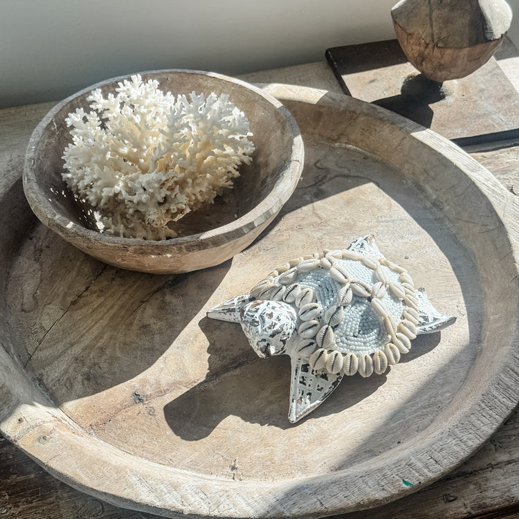 White Tropika Turtle Décor