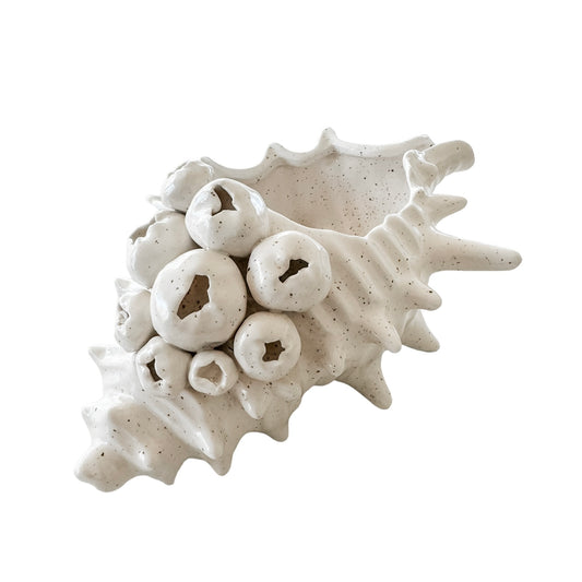 Barwon Ceramic Shell Scultpure | Large Preorder