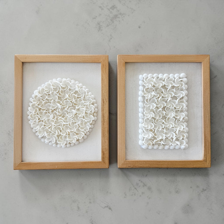 Coastal Shell Bloom Wall Art
