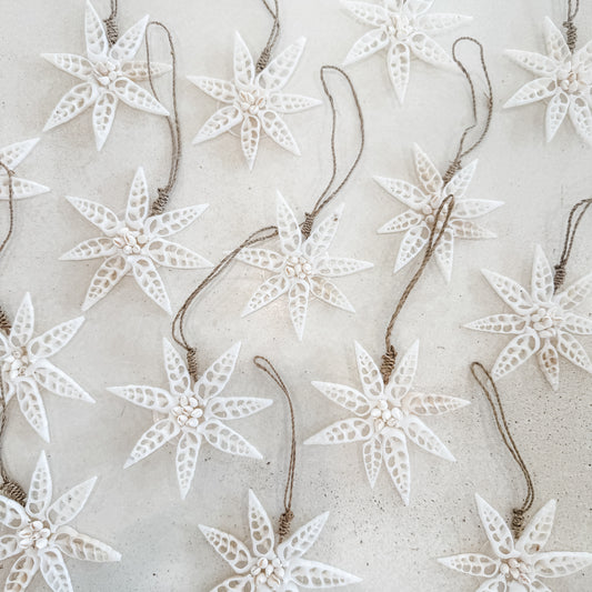 White Star Shell Hanging