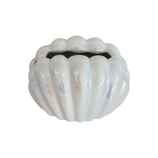 Shell Tissue Holder