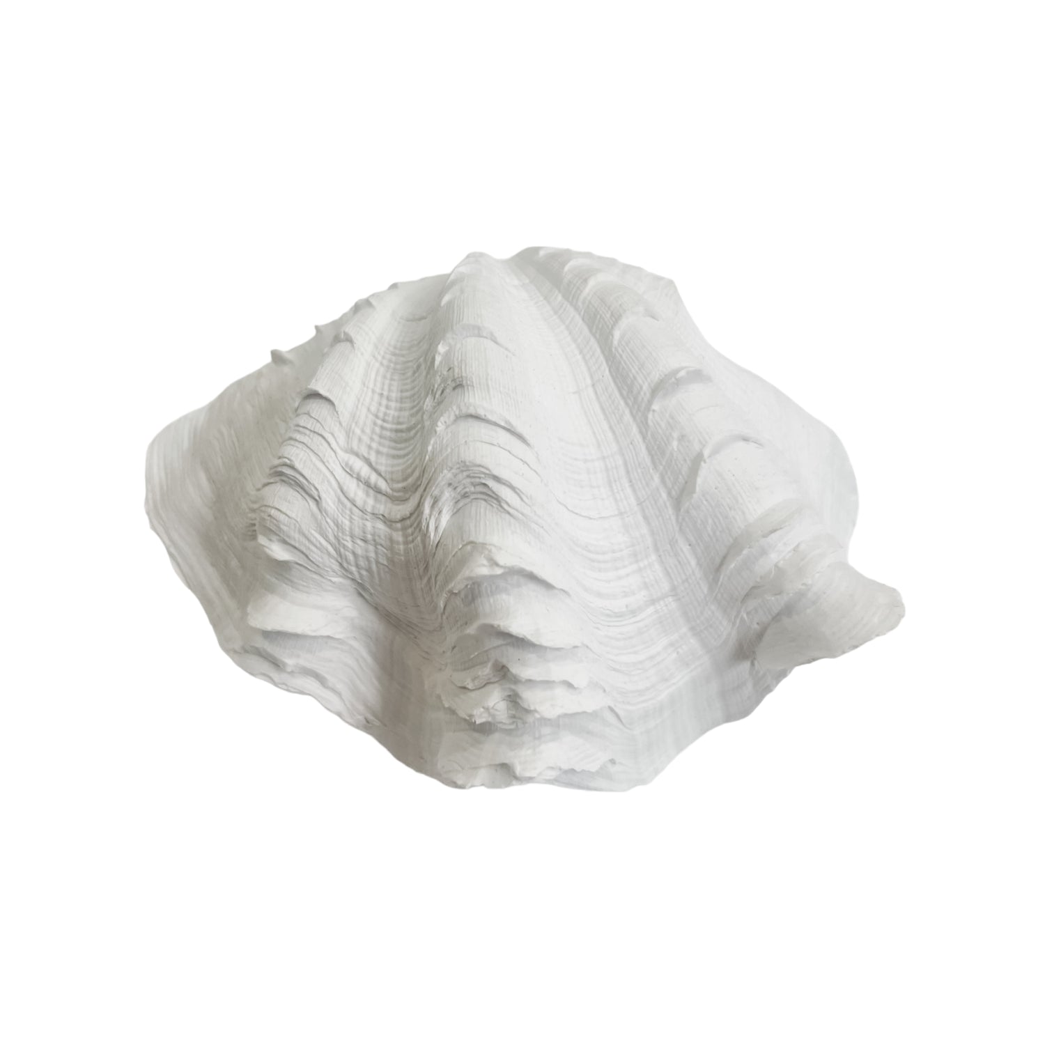 Reshin Shell Clam Shell | Resin