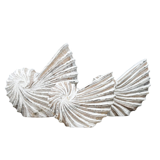 Wooden Nautilus Shell | Structured | 3 Sizes Available