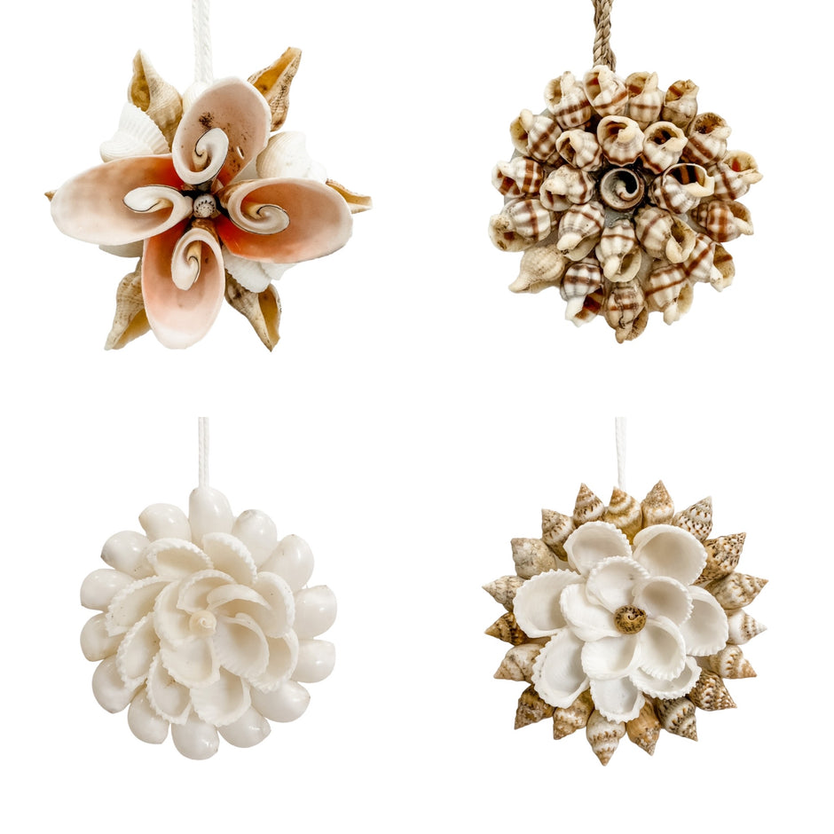 Shell Decorations Set Coral & Shell Décor | Buy Authentic Shell Homewares Online, Pay Later