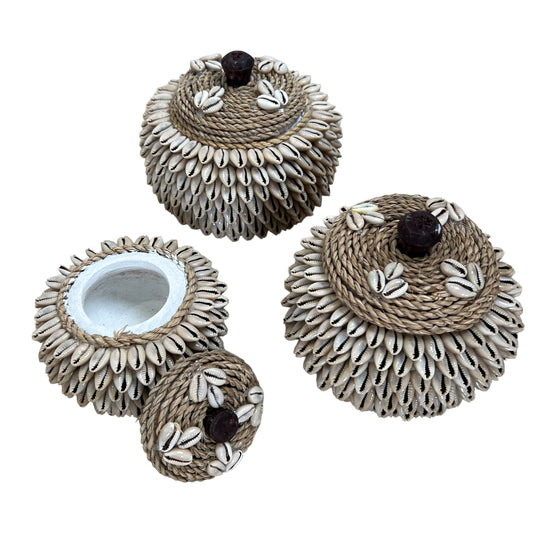 Atlantis Shell Pot | Cowrie Shell | 3 Sizes Available