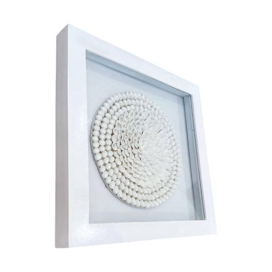 Framed Wall Art | White Shell Shield | 40x40cm