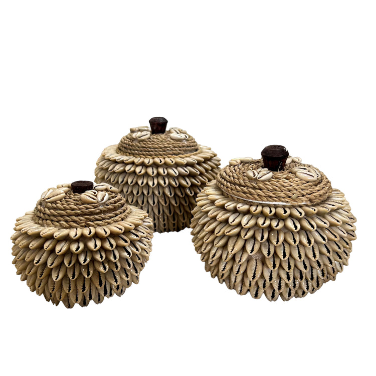 Atlantis Shell Pot | Cowrie Shell | 3 Sizes Available