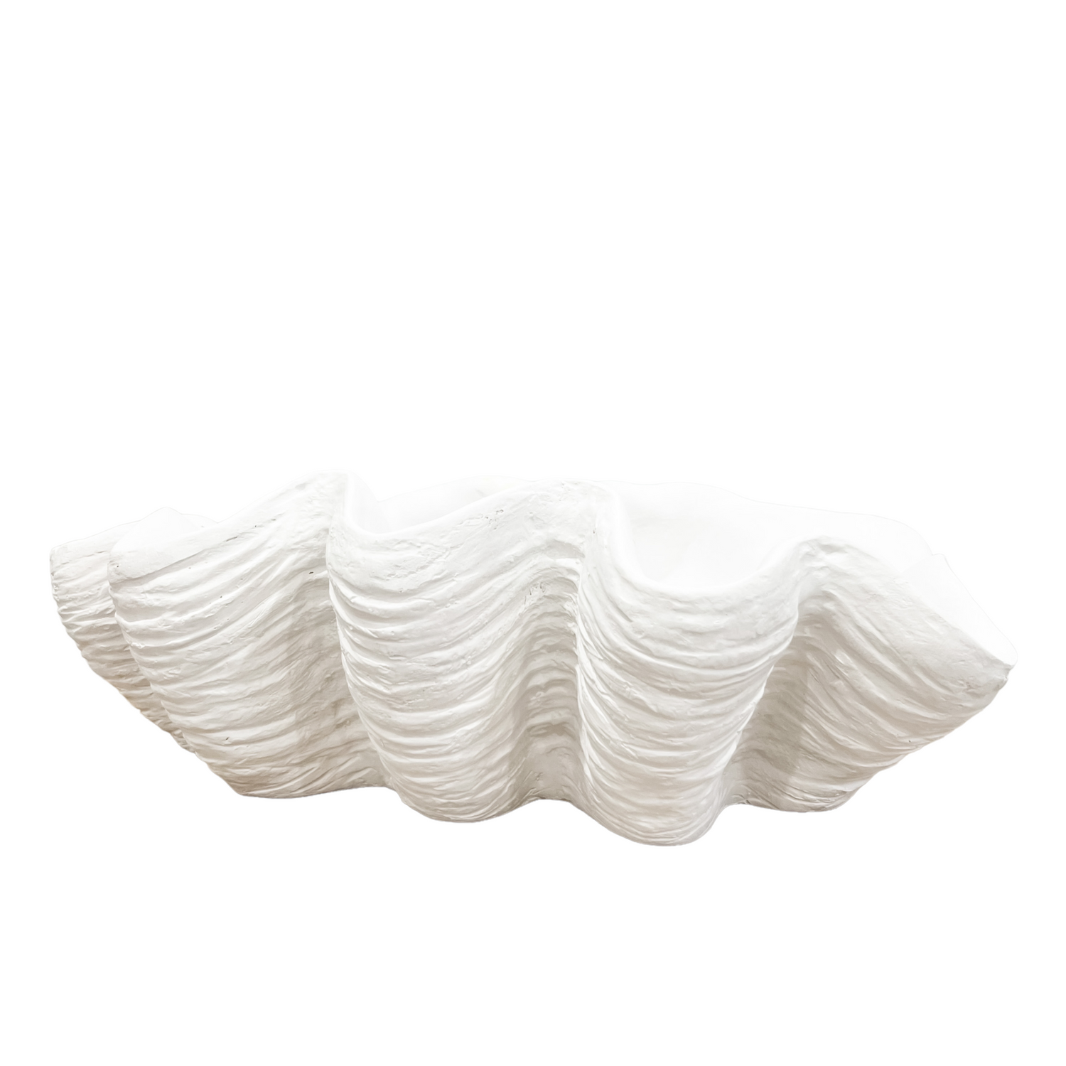 Clam Shell | White | Large Preorder