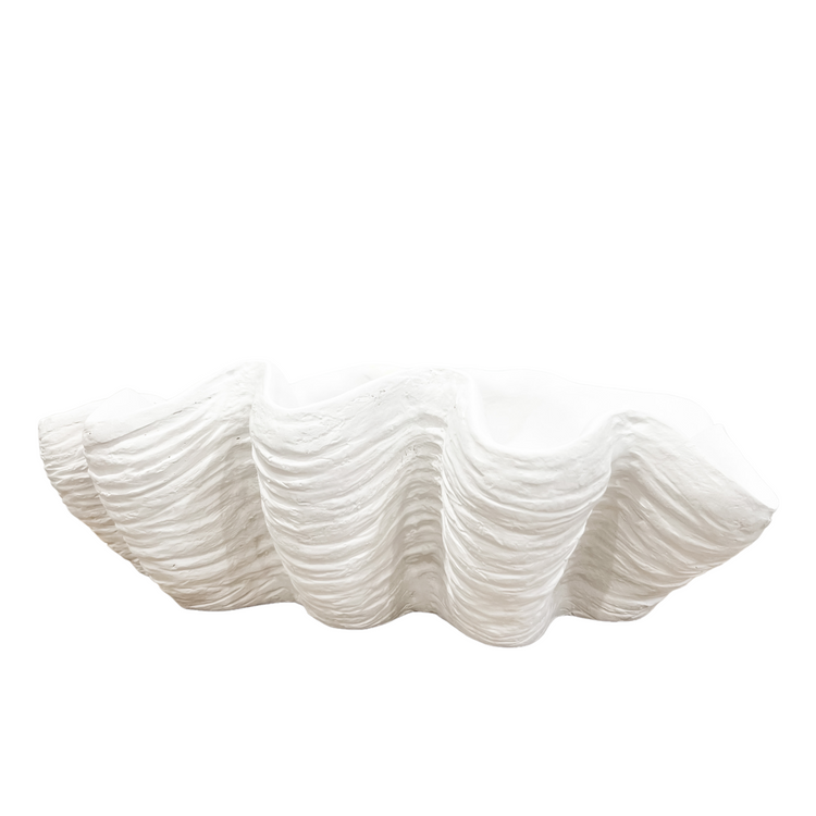 Clam Shell | White | Large