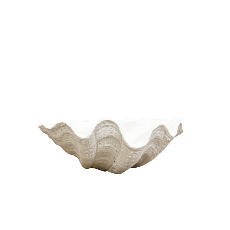 Clam Shell | White | Small