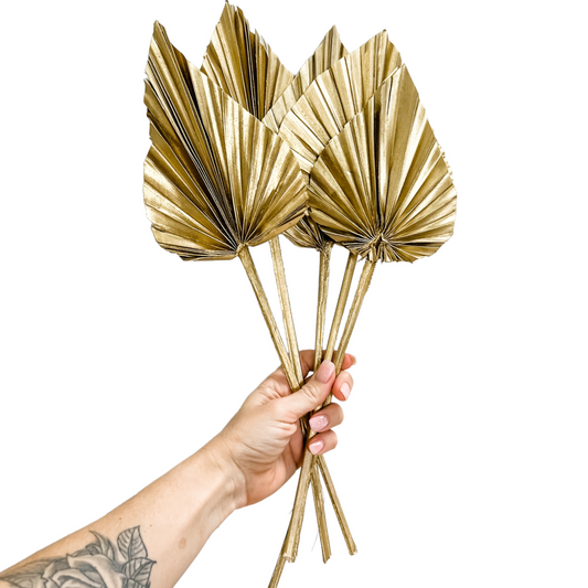 Spade Palm | Dried | Gold | Set of 5