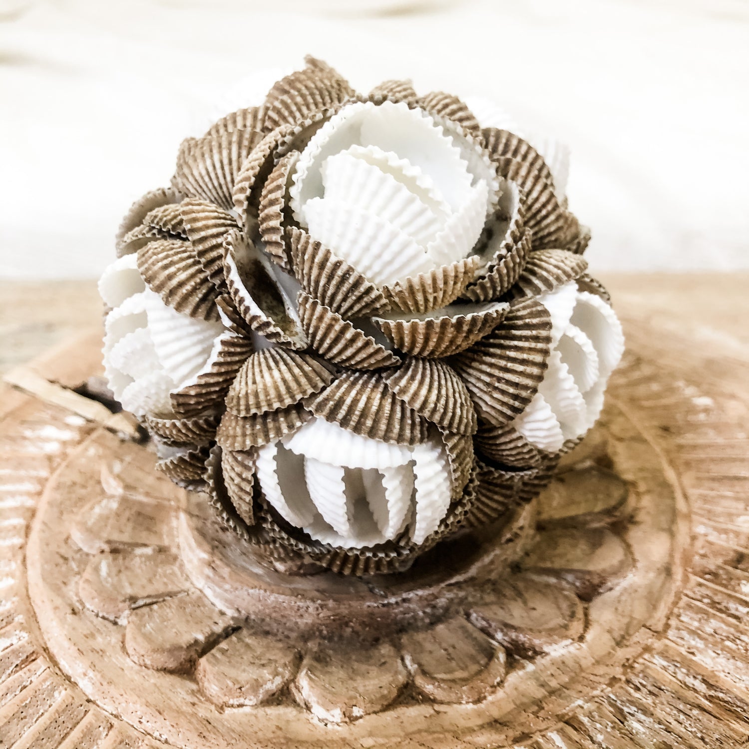 White and Brown Shell Ball Beach Decor