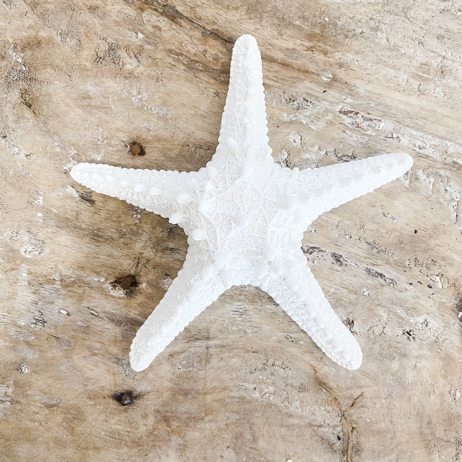 White Resin Starfish Beach Decor