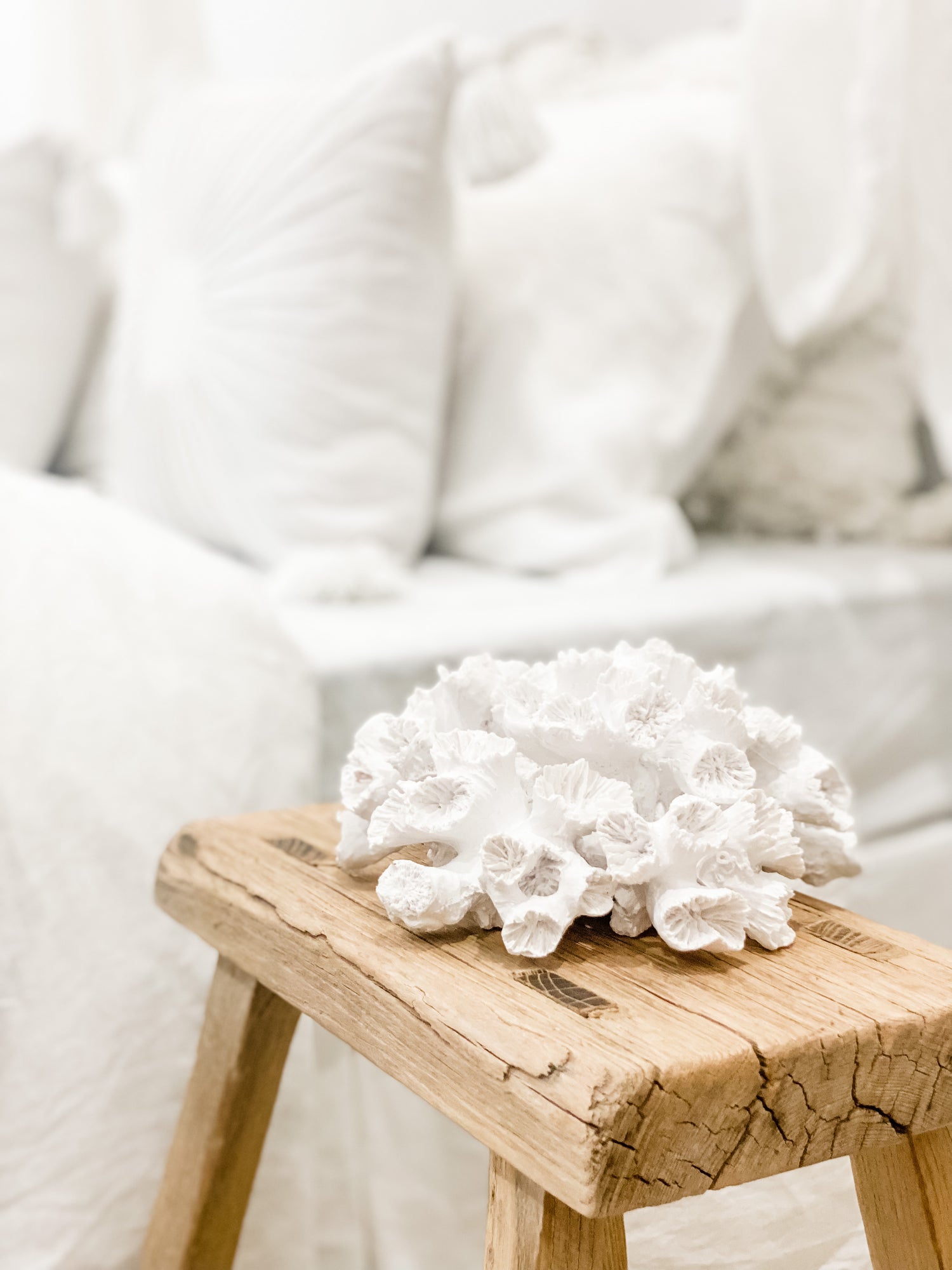 Anemone Resin Coral Decoration